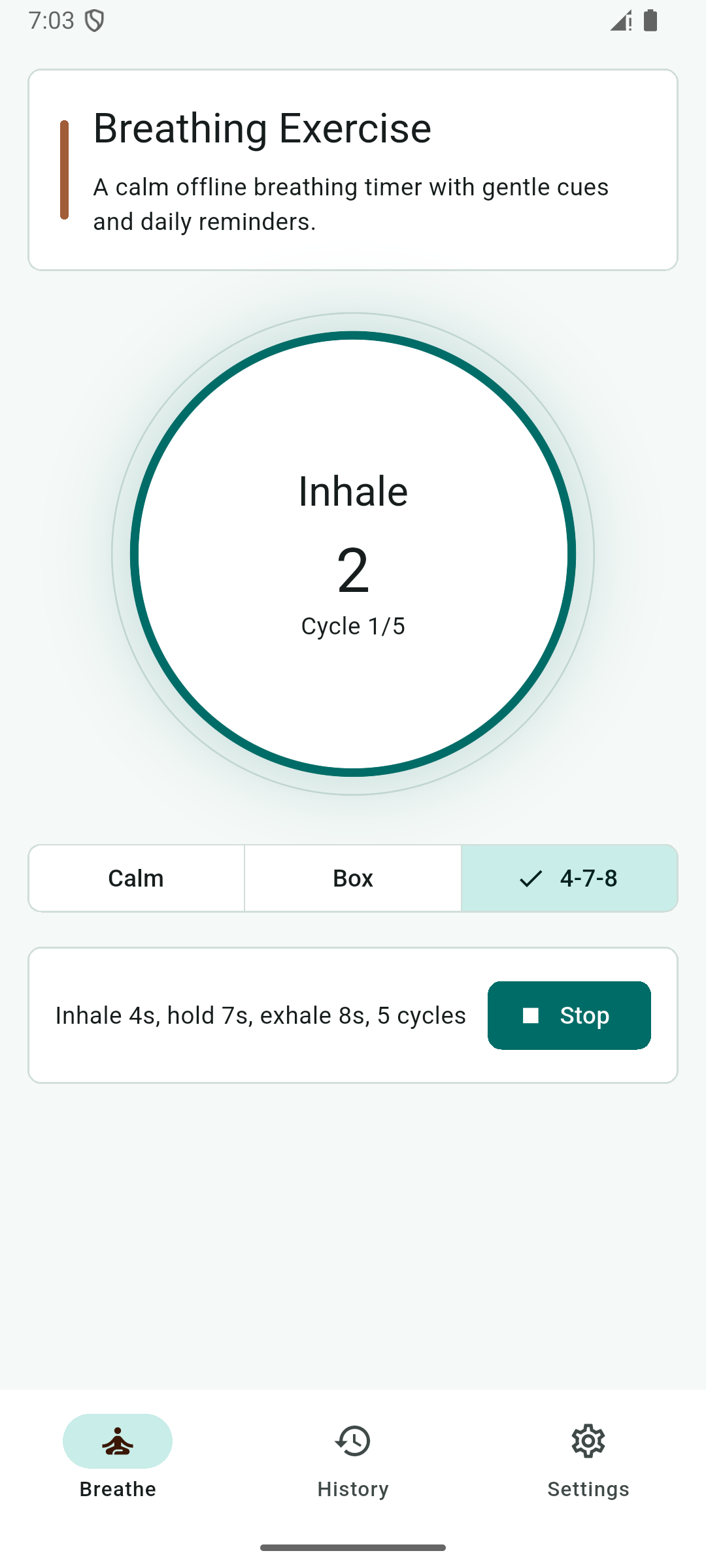 Breathing Exercise placeholder screenshot: Follow Guided Cues